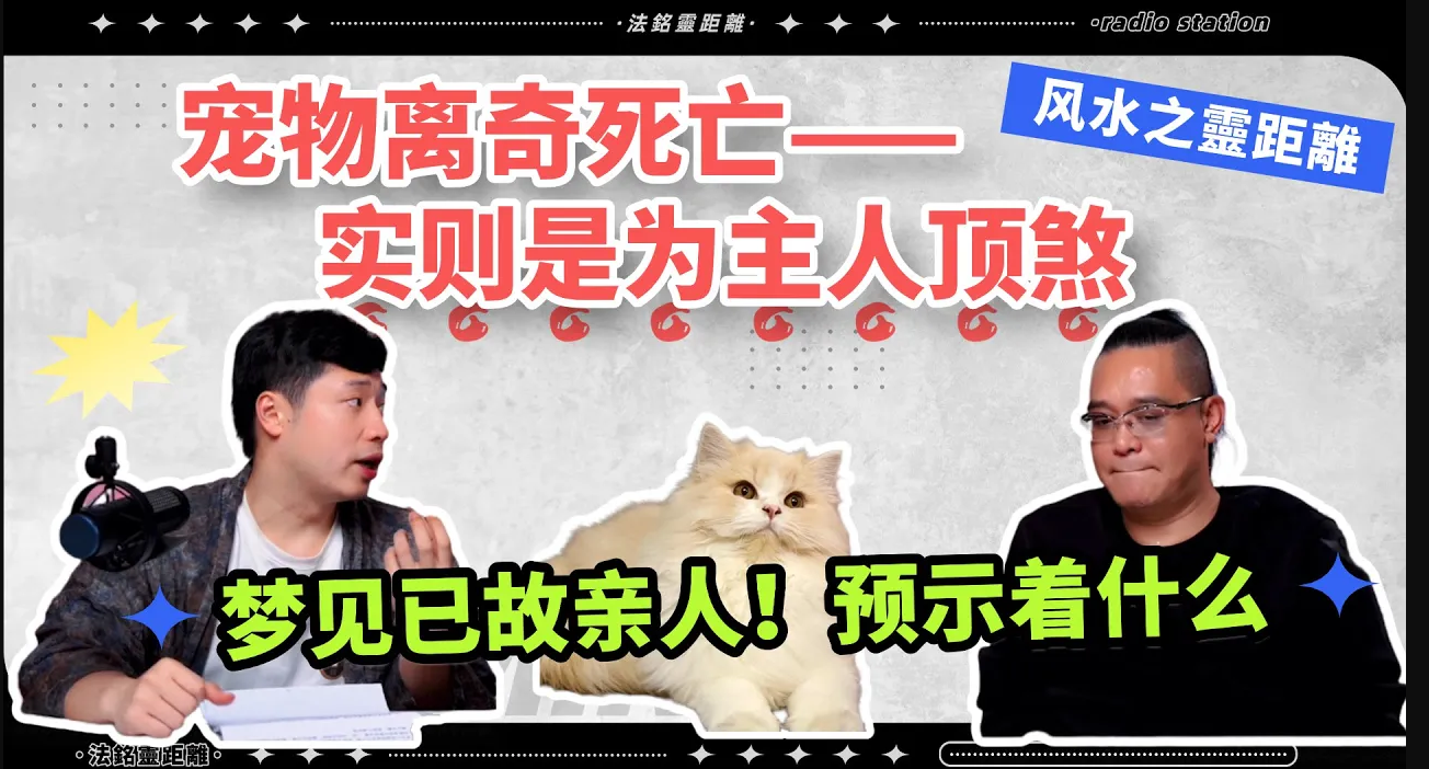 寵物離奇死亡竟是替主人擋災！道長揭秘3種託夢真相：冤親債主假扮親人託夢只是為了金元寶？紙錢燒得越多，託夢越清晰！陰間富貴，陽間才能變富！|视频封面