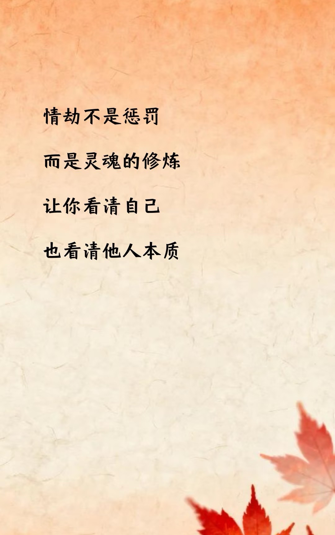 善緣重的女孩子都是要渡情劫图片3