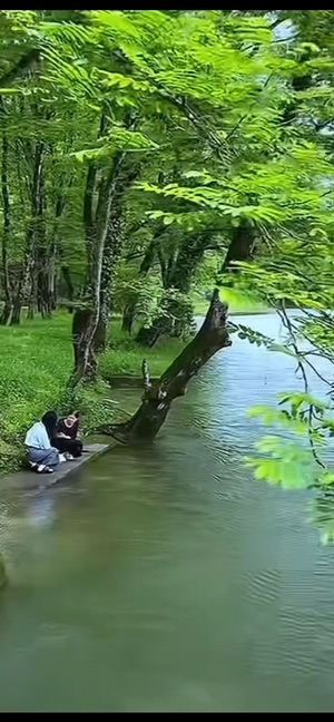 綠蔭深處水聲清
靜享清涼景從容视频封面