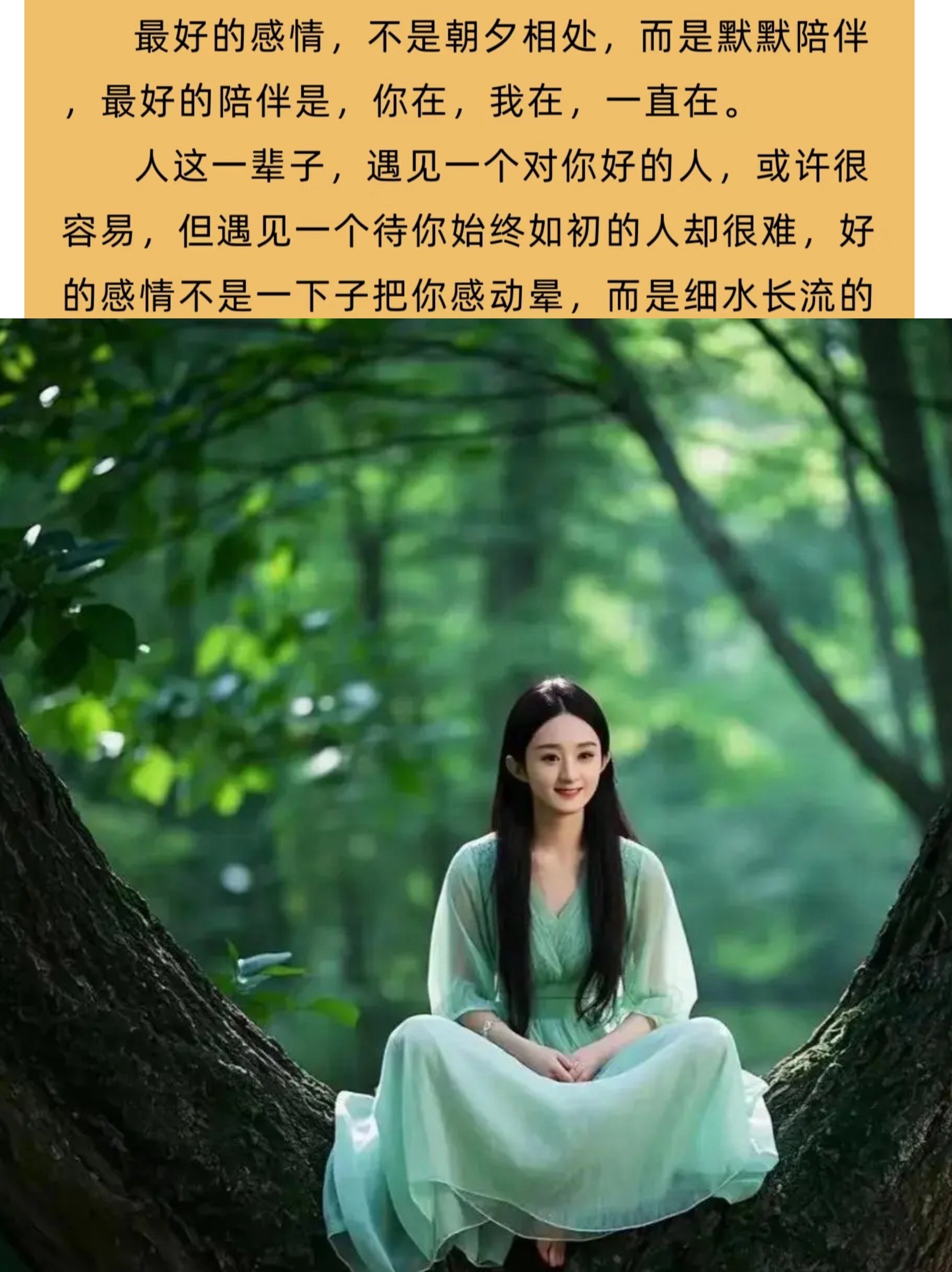 陪伴是最深情的告白视频封面