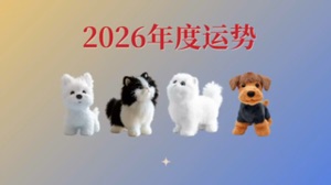 2026超詳細的綜合年運勢來咯～视频封面