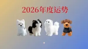 2026超詳細的綜合年運勢來咯～