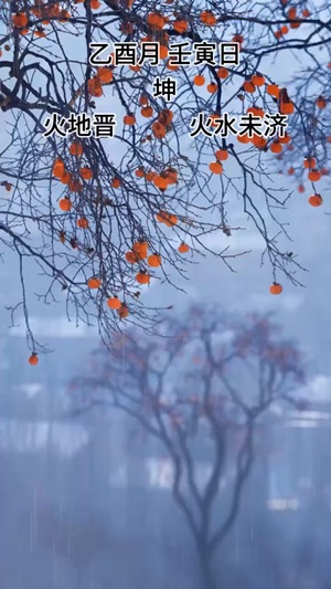 她是不是該安靜的離開？视频封面