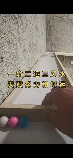 命也時也视频封面