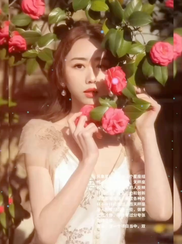 風向星座视频封面