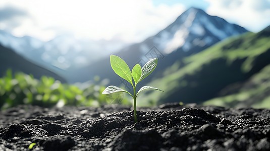 今日，乙巳年·己丑月，雙線收官。靜藏待春時视频封面