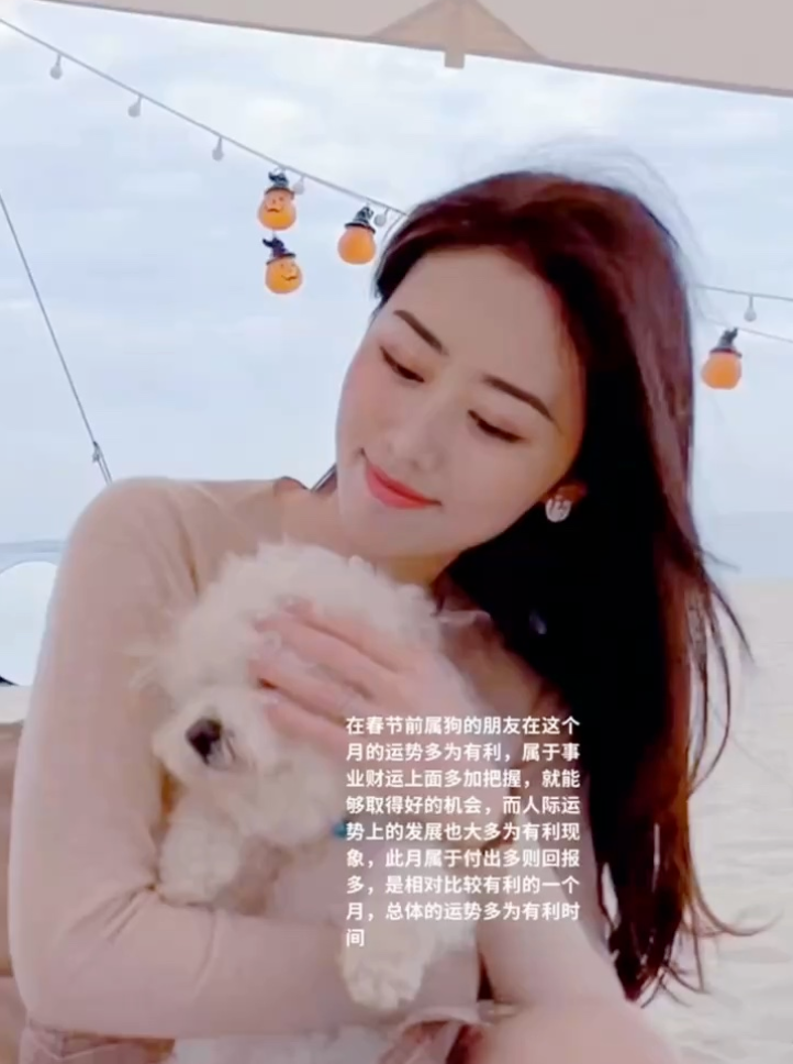 生肖狗视频封面