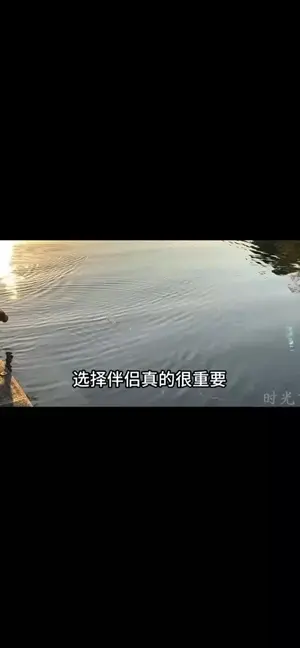 如何選擇適合自己的伴侶呢?