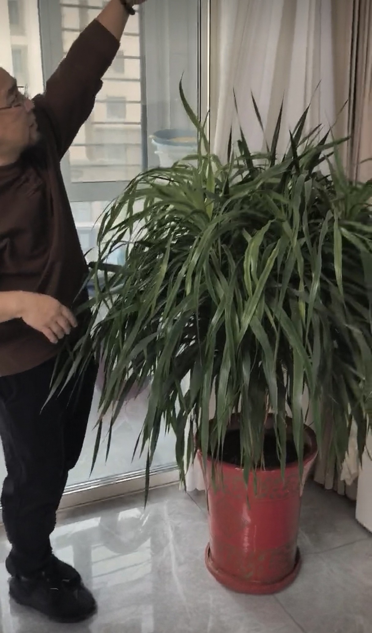 悟通梅花風水學創始人易弘陽老師為客户佈局中视频封面