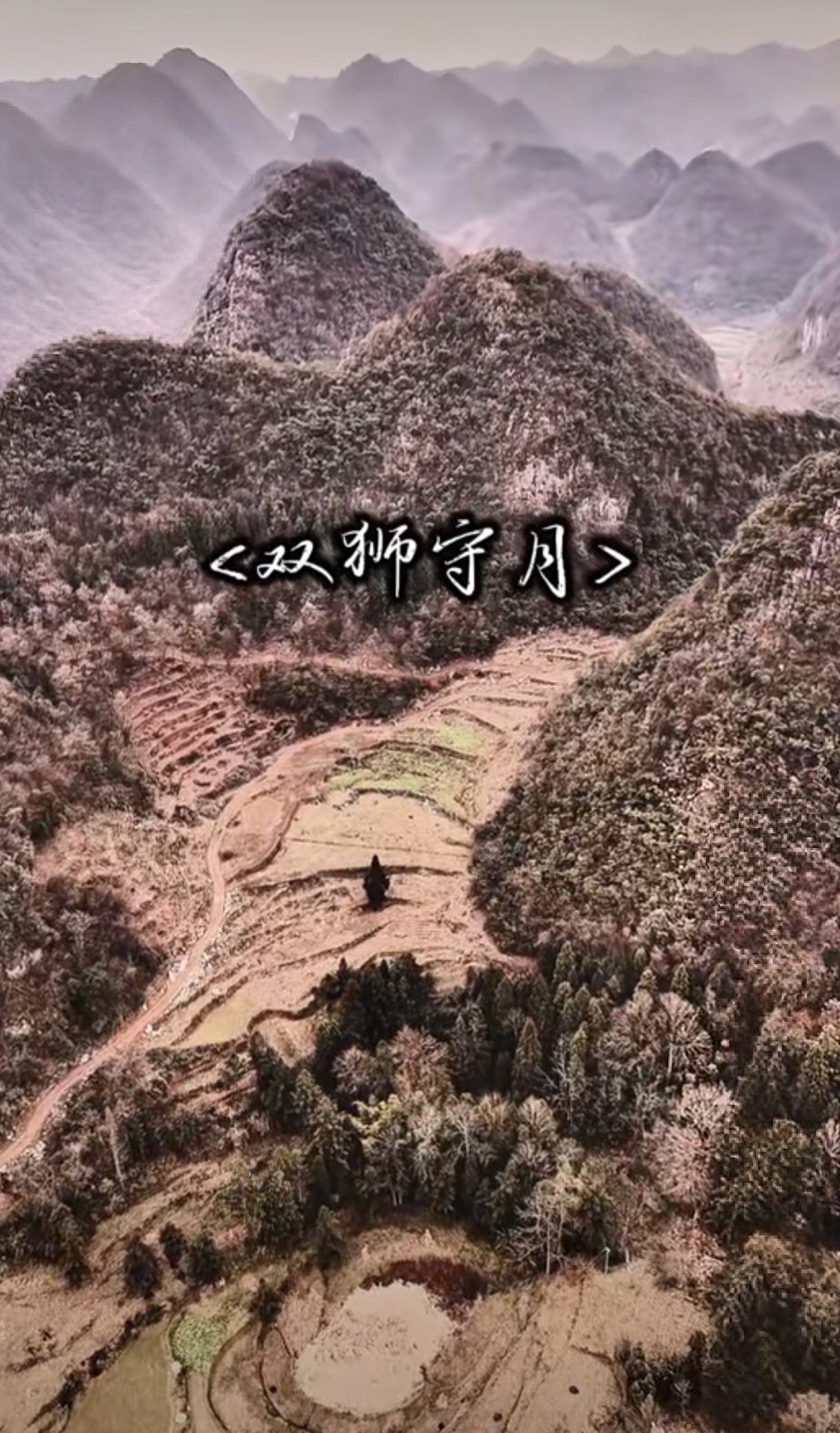 呼形喝象

图片3