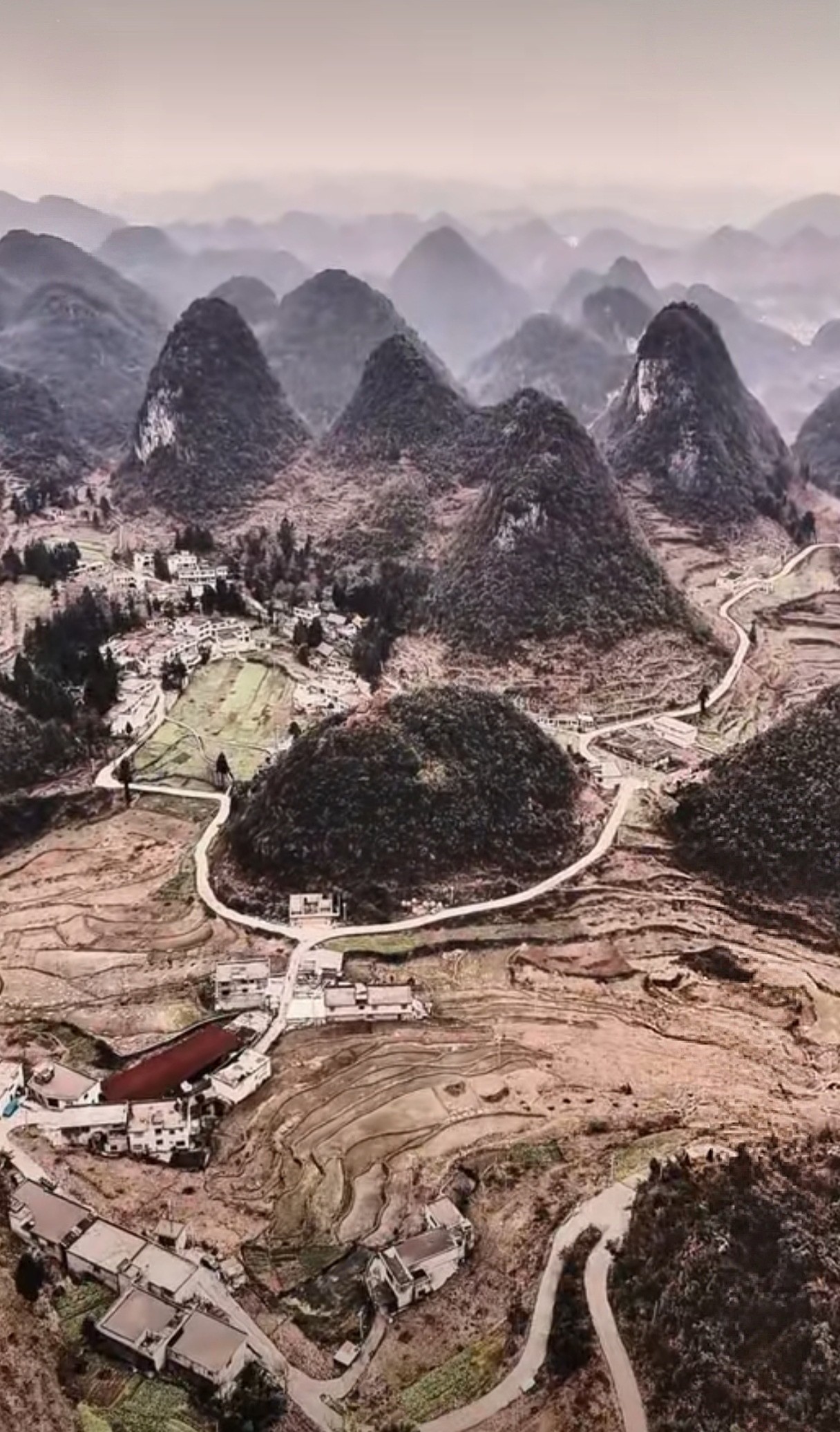 呼形喝象

图片2