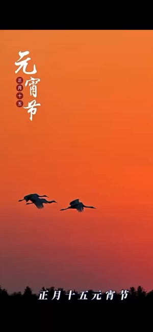 一年之計在於春视频封面