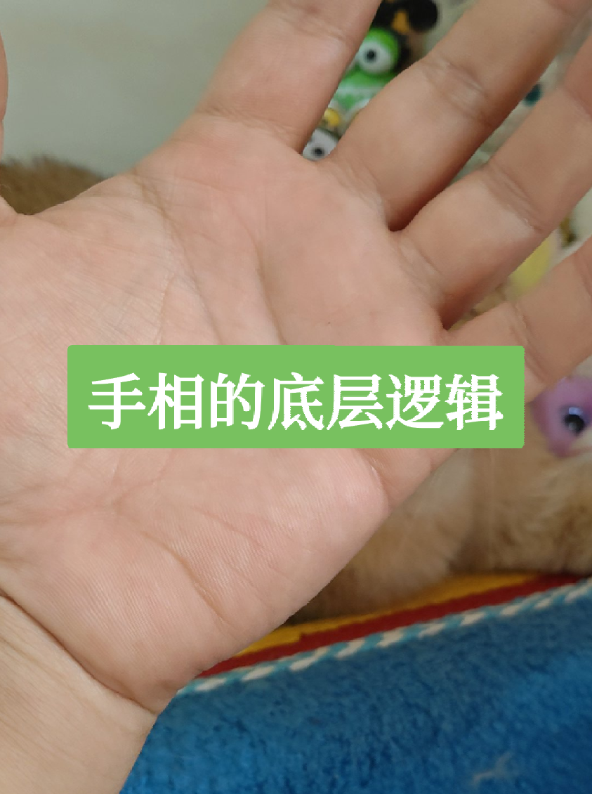 手相的底層邏輯！视频封面