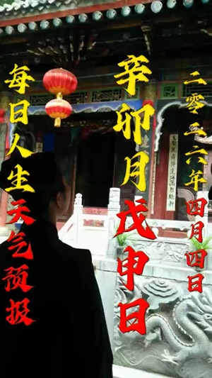 今日八字預測我會被騙錢？视频封面