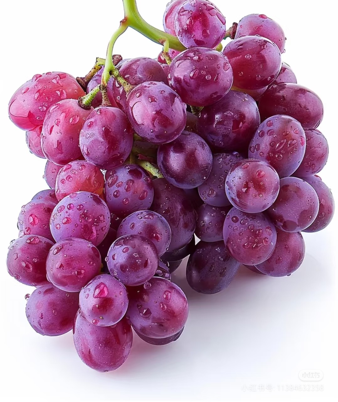 酸葡萄效應 & 甜檸檬效應图片1