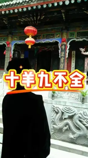 十羊九不全
