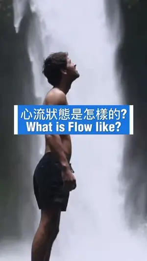 What is the state of flow?