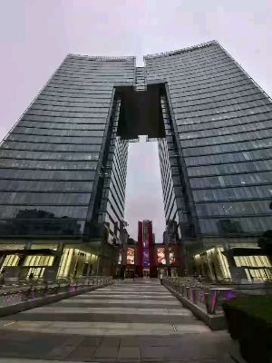 上海金虹橋中際國心析水風解视频封面