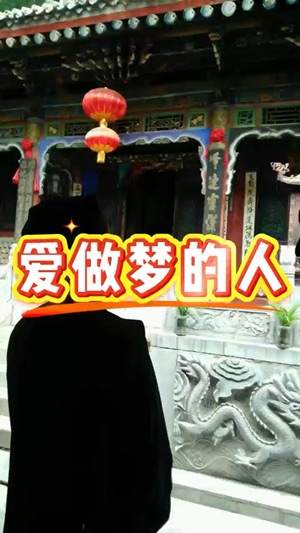 奇妙的夢境视频封面