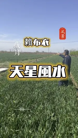 天星風水