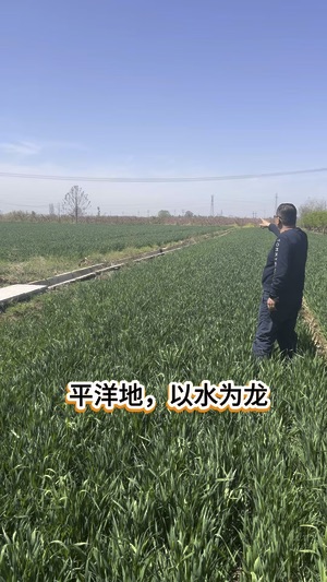 賴布衣天星風水
  
     
视频封面