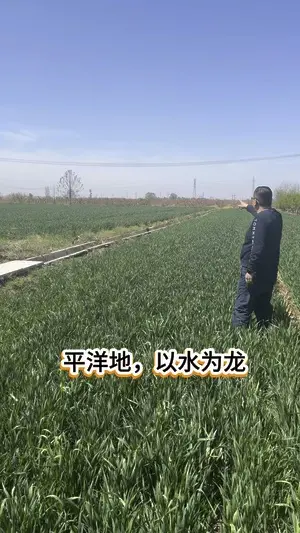 賴布衣天星風水