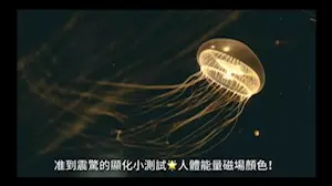 準到嚇人的人體能量測試