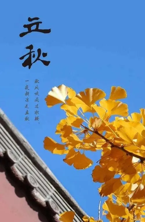 今日立秋
