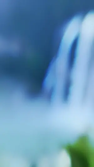 盡命·盡興