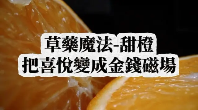 草藥魔法-甜橙｜提升你的情緒頻率與金錢運勢🔮