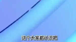 梅花易讀頭像神準應驗