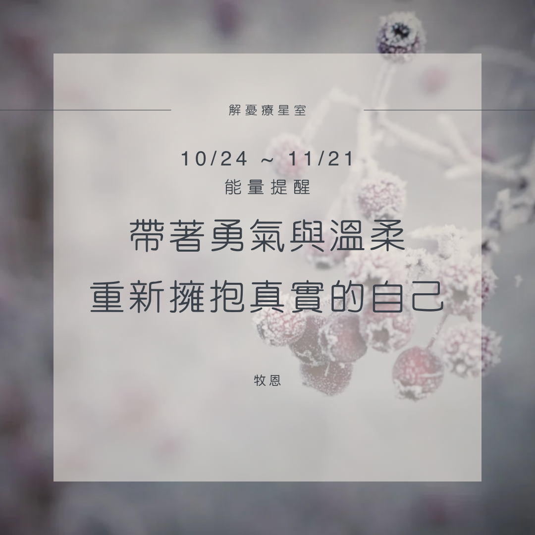❄️「結凍之月|10/24 - 11/21 月運勢」封面