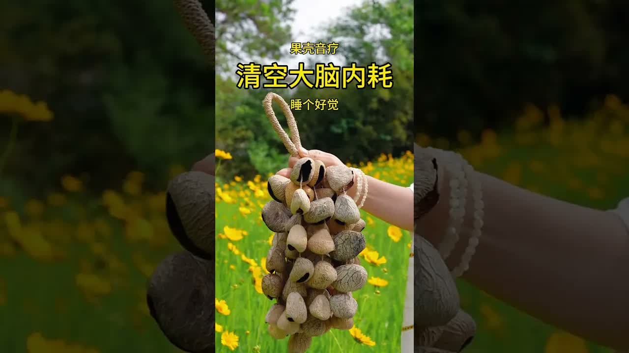 遠離焦慮，緊張壓力 聽一聽果殼的聲音，感受一下大自然的魅力，放鬆心情，每天睡個好覺 #健康養生 ｜ 頌缽 ｜ 音療 ｜ 冥想 ｜ 健康